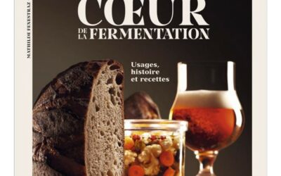 Au cœur de la fermentation