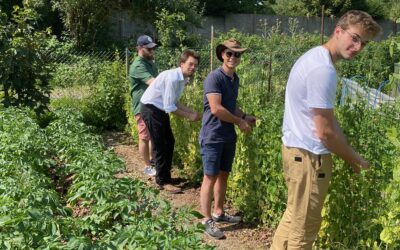 Virée au potager de La Maniguette…